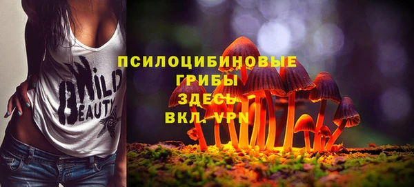 кокс Алзамай