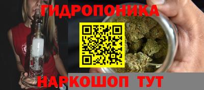 ГАЛЛЮЦИНОГЕННЫЕ ГРИБЫ Заволжье
