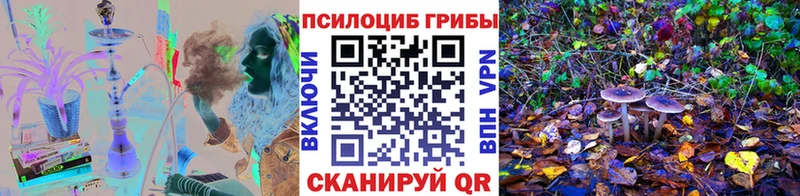 Псилоцибиновые грибы ЛСД  купить наркотик  Нижний Новгород 