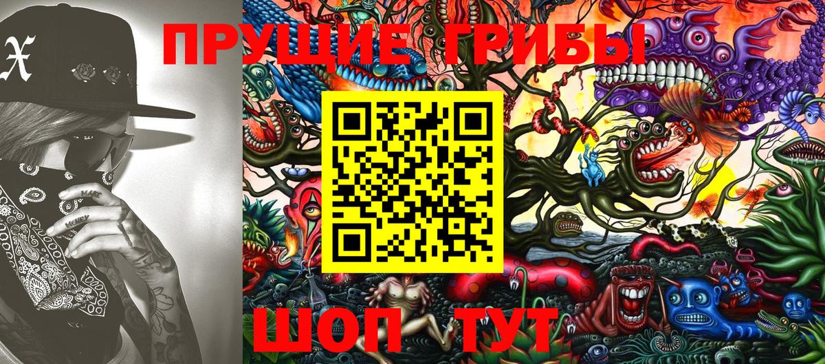 Нижний Новгород  Псилоцибиновые грибы Psilocybine cubensis  купить наркоту  Вход с VPN 